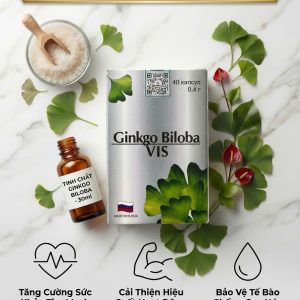 Viên uống bổ não Ginkgo Biloba VIS